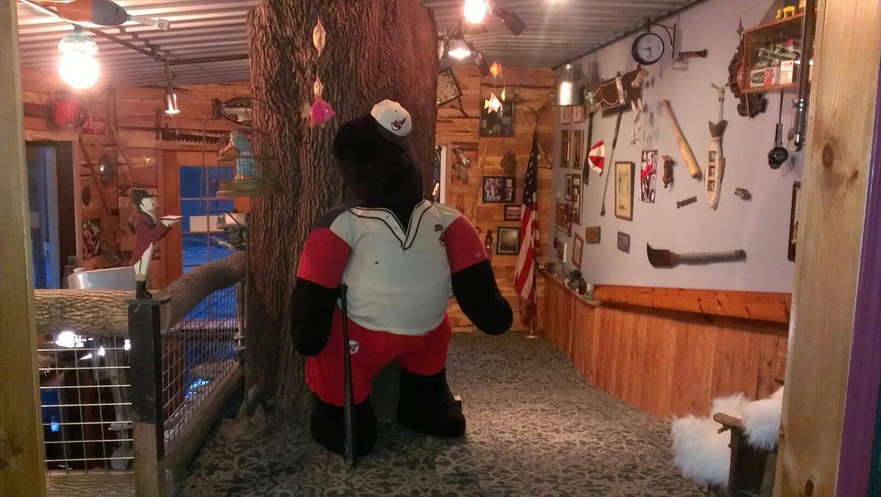Whisperin' Pines Chalet 库珀斯敦 外观 照片