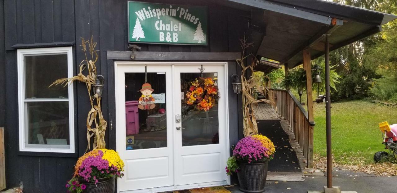 Whisperin' Pines Chalet 库珀斯敦 外观 照片